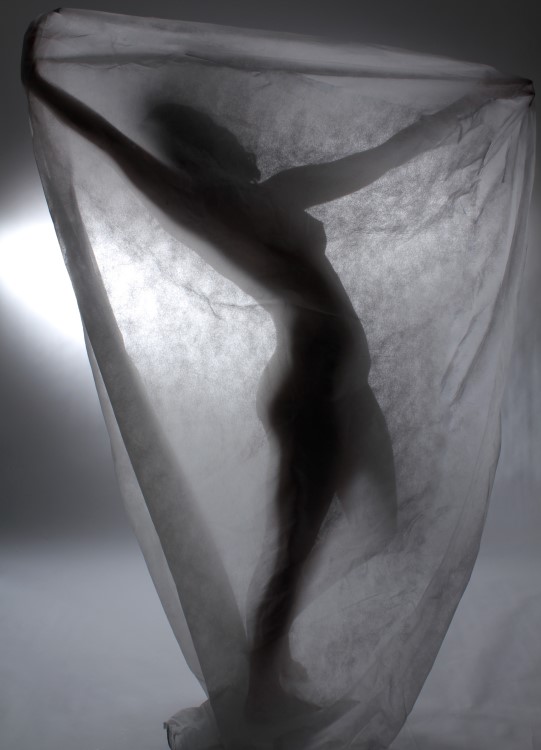Kim Taylor : next page